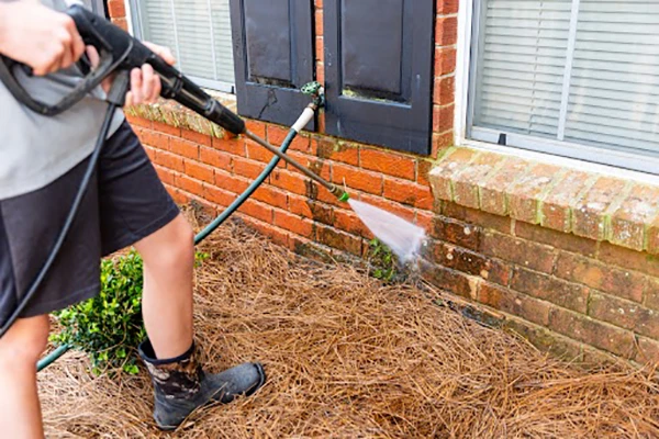 Pressure Washing in Walls and Driveway