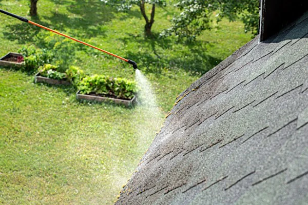 Soft Wash Roof Cleaning